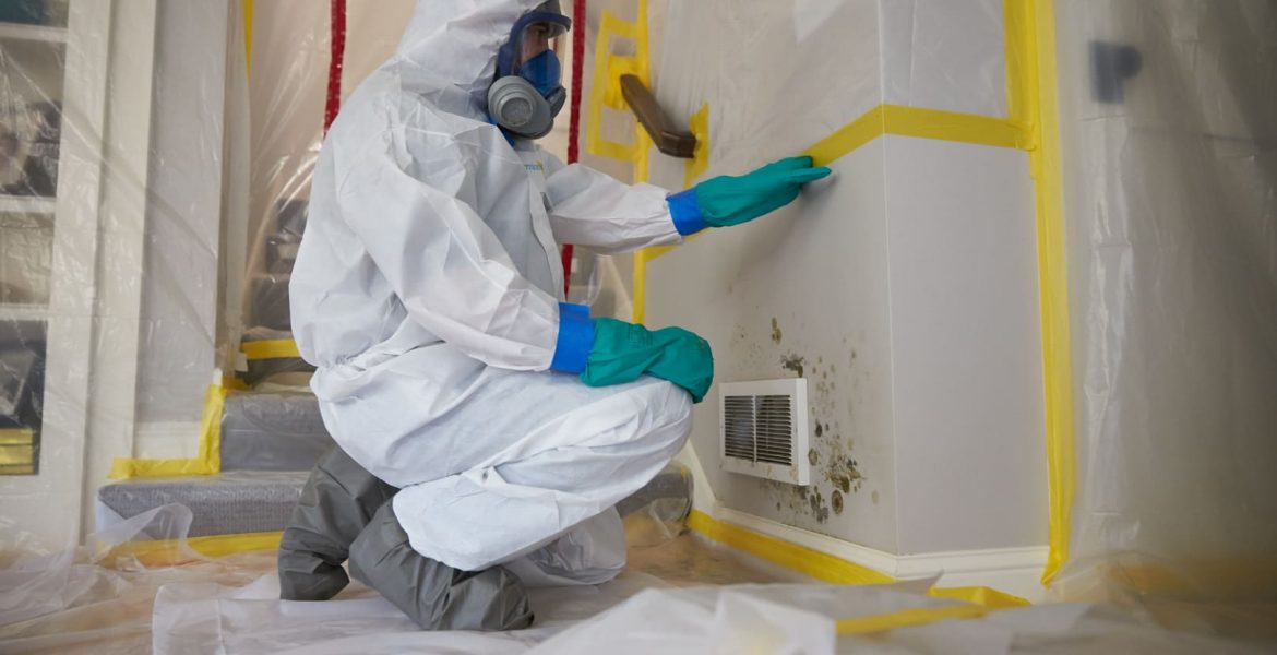 Mold remediation classes help you protect your health and save property